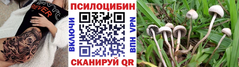 ОМГ ОМГ ONION  Осташков  Галлюциногенные грибы Psilocybe 